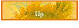 Up